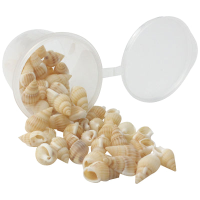 Mini Natural Beach Sea Shell Beige 1 Bottle