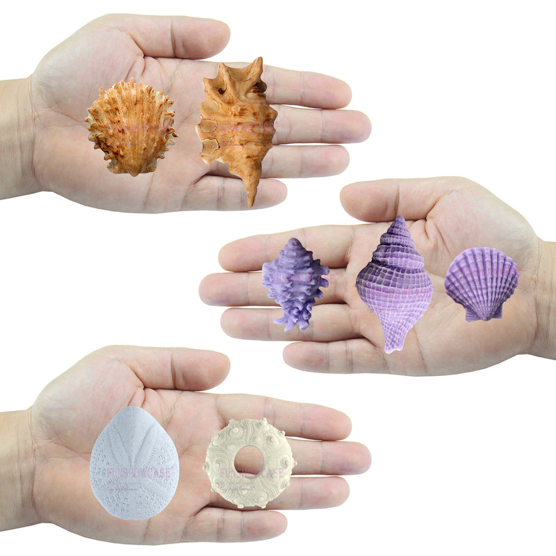 Sea Life Fondant Silicone Molds Seashell and Sea Urchin 7 Count