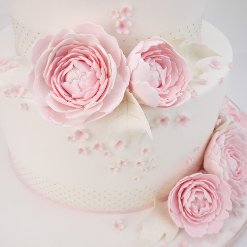 Peony Rose Flower Fondant Cutters 6-count