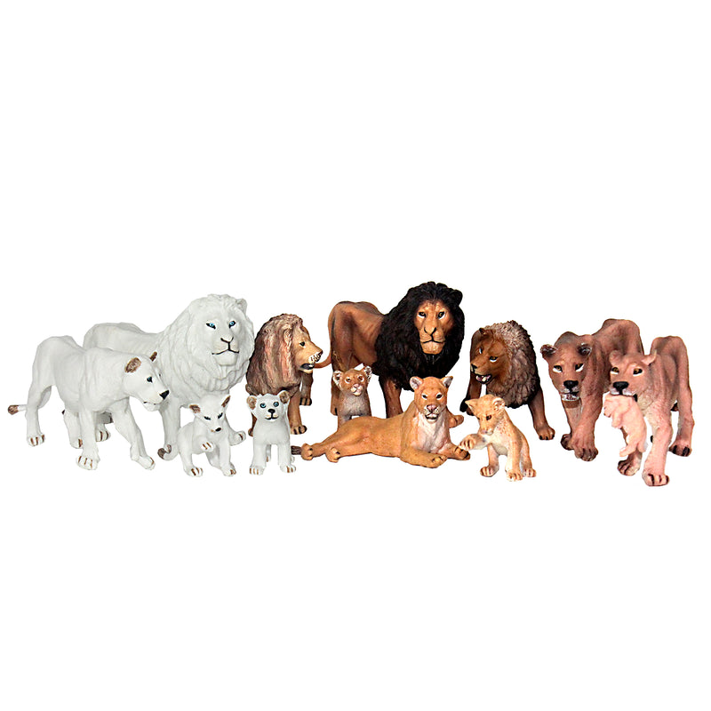 Lions Figure 13-count