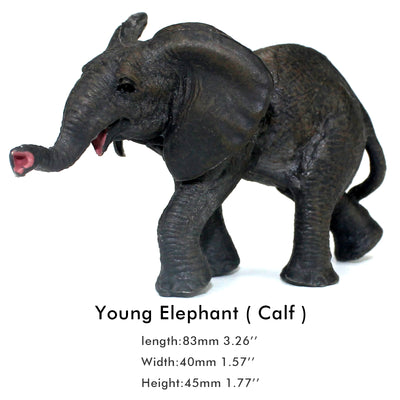 Young Elephant Figure Height 2.2-inch