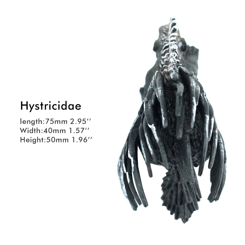 Hystricidae Figure Height 2.4-inch