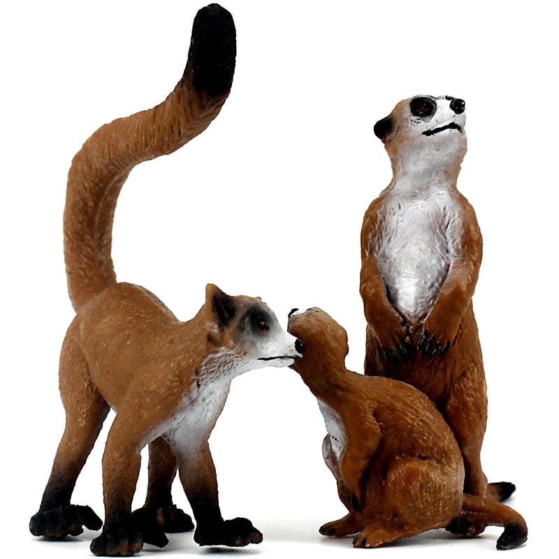 Meerkats Figure 2-count