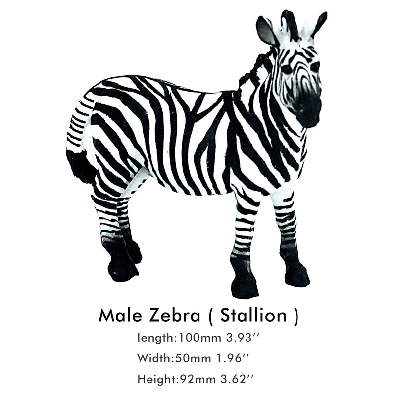 Male Zebra Stallion Figure Height 3.5-inch