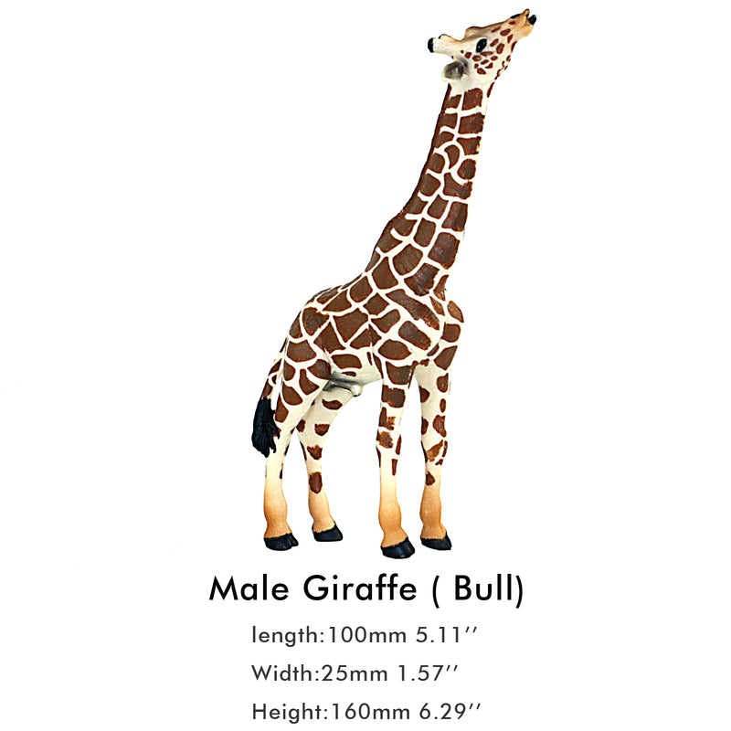 Male Giraffe Bull Figure Height 6.5-inch