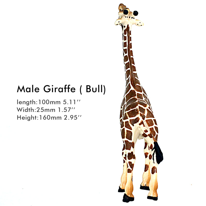 Male Giraffe Bull Figure Height 6.5-inch