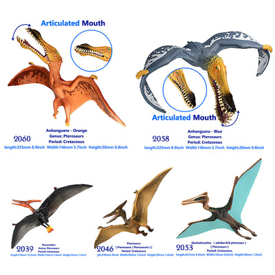 Quetzalcoatlus Figures Some Pterosaurs with Movable Jaws 5-Count