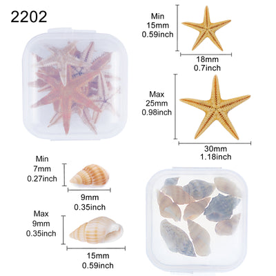 Mini Sea Shell & Starfish 2-pot