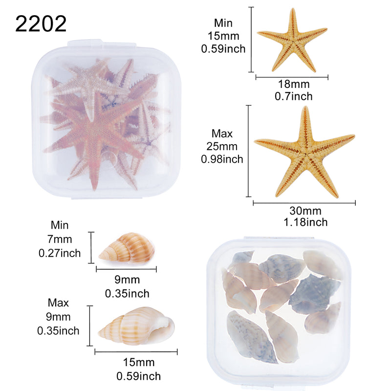 Mini Sea Shell & Starfish 2-pot