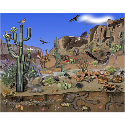 Desert Animals Backdrop 7x6feet