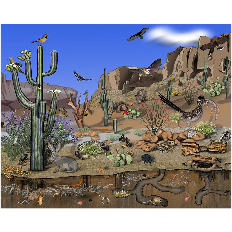 Desert Animals Backdrop 7x6feet