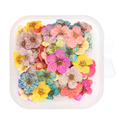 Real Dried Flowers For Scrapbooking Resin Mold Fillings For DIY Crafts,  Nail Candles, Soap Making, Phone Cases, Jewelry Pendants Decorative Floral  Decorations From Xianggua, $6.96