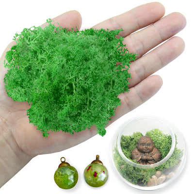 Natural Preserved Reindeer Moss 10g