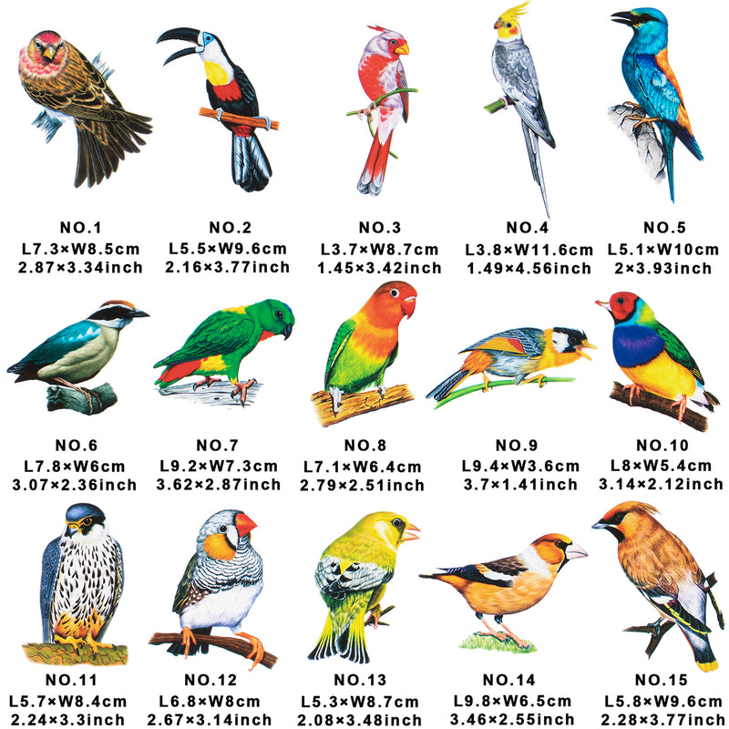 Bird Stickers Pack of 30-count