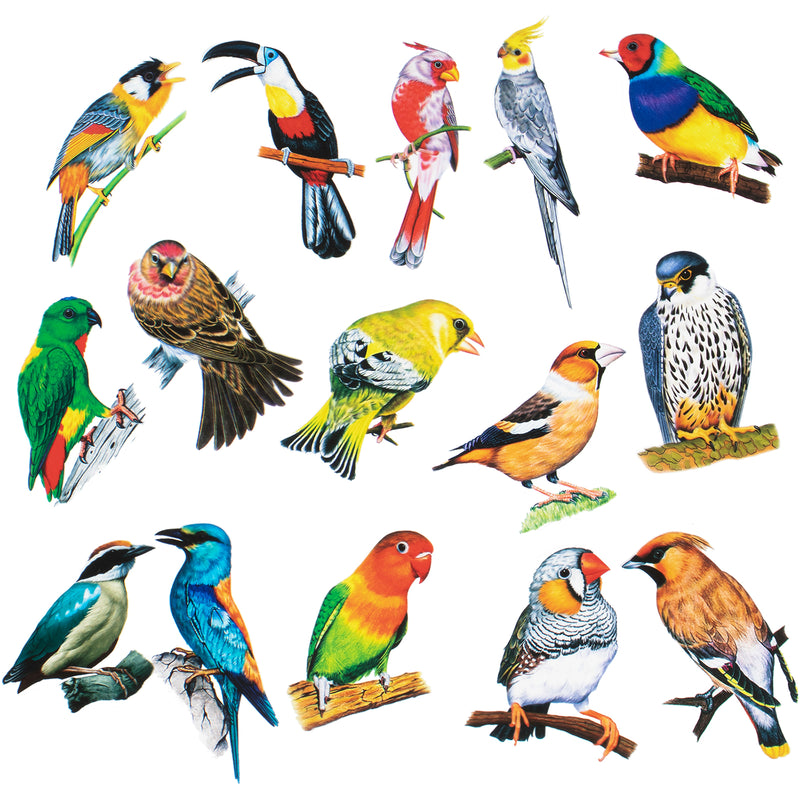 Bird Stickers Pack of 30-count