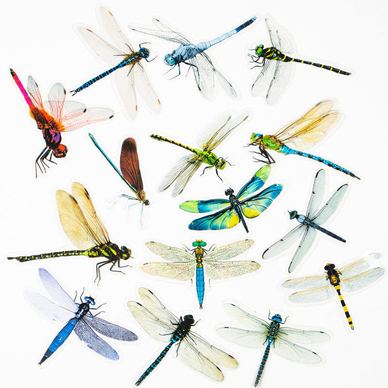 Dragonfly Stickers 30-film Large
