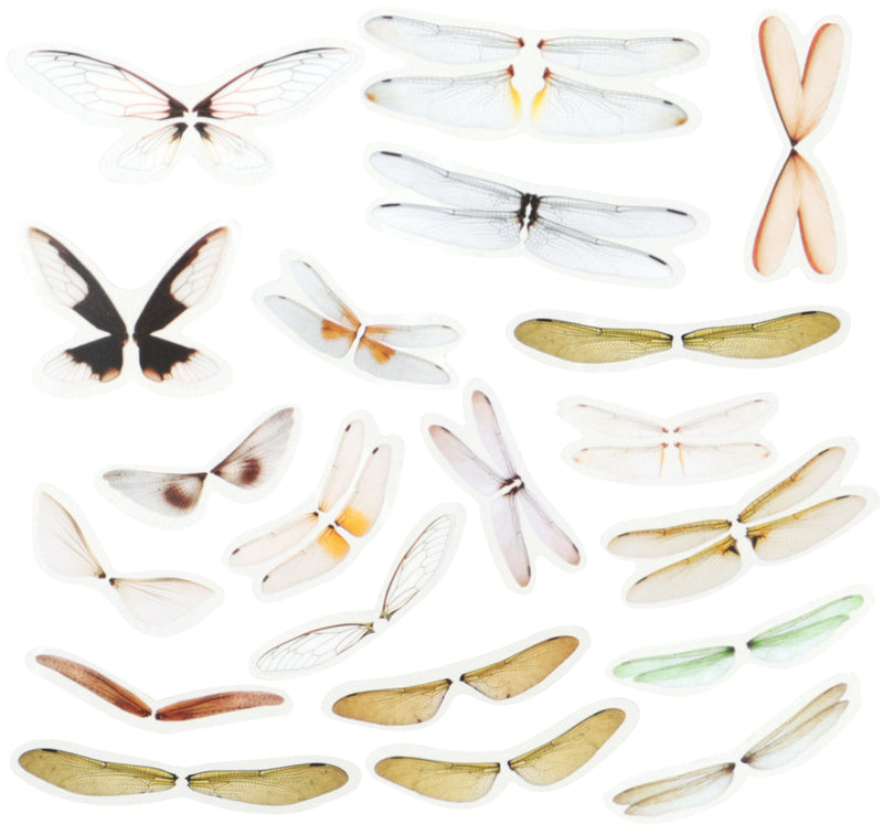 Insect Wings Stickers 40-count
