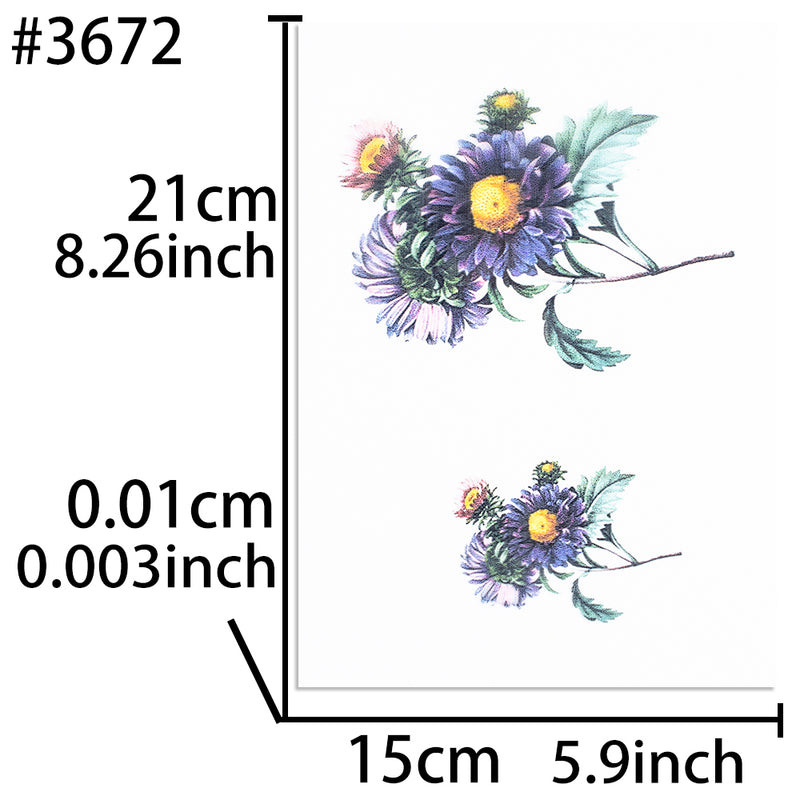 Callistephus Flower Transparent Films 5-count