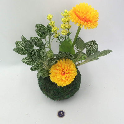 Weave Preserved Moss Planter 2.8inch