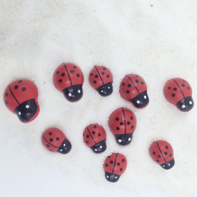 Ladybug Insect Assorted Size 10-count