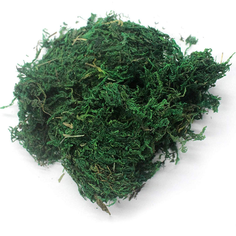 Preserved Moss Fresh Green 150g 5.3oz