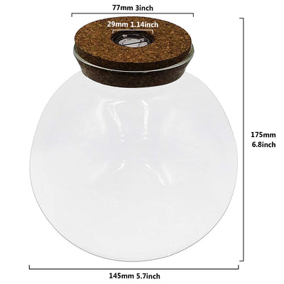 Round Glass Terrarium with LED Lid 5.9inch