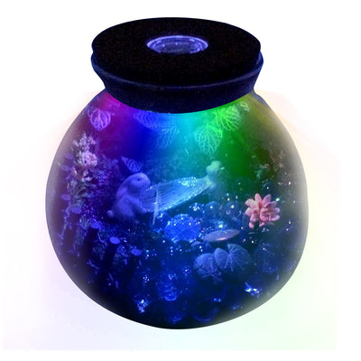 Round Glass Terrarium with LED Lid 5.9inch