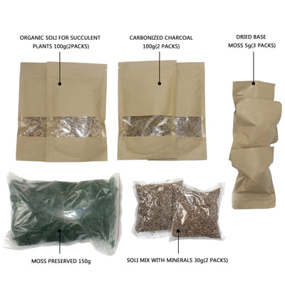 Terrarium Fairy Garden Set 10-kit Moss|Soil|Carbonized Charcoal