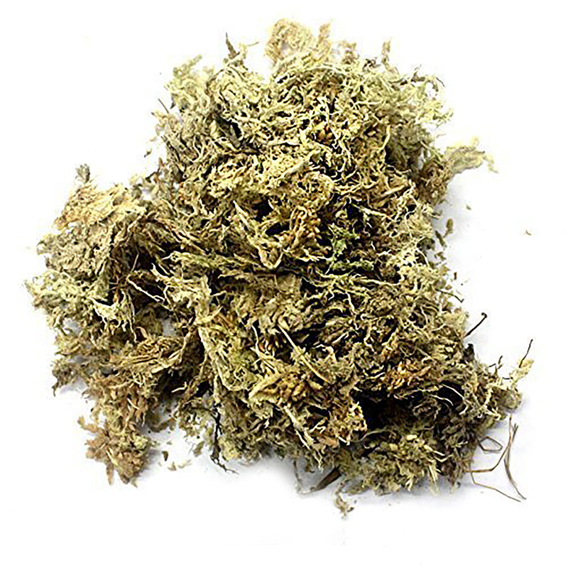 Dried Base Moss 5g