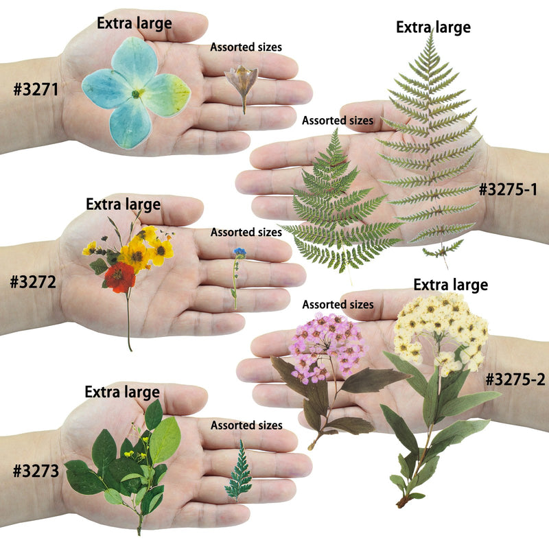 Mixed Flower Leaf Pinecone Stickers 218-count