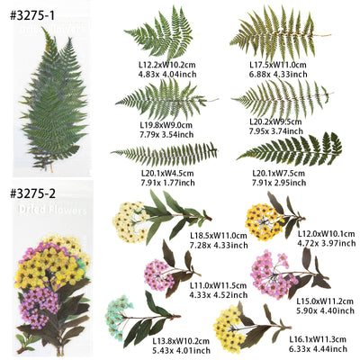 Mixed Flower Leaf Pinecone Stickers 218-count