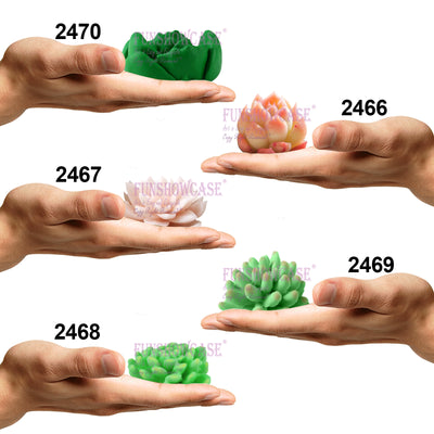 Cactus & Succulent Plant Silicone Molds 10-Count Larger