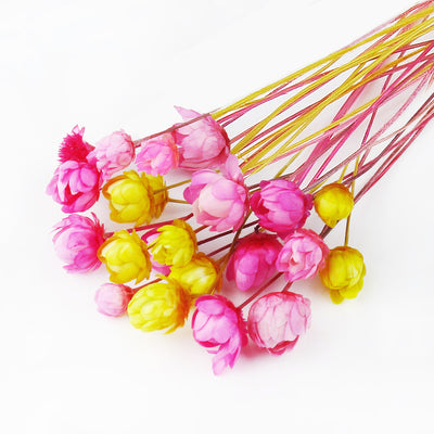 Mini Natural Dried Flower