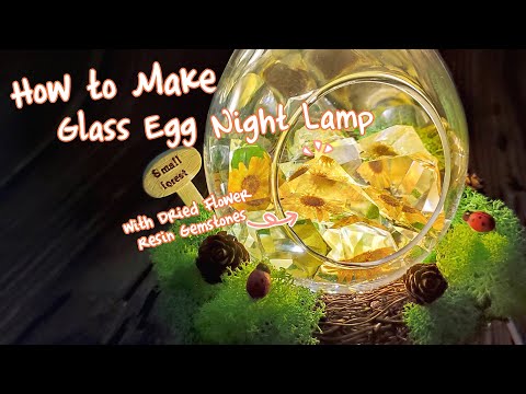 Glass Terrarium Container Oval Egg